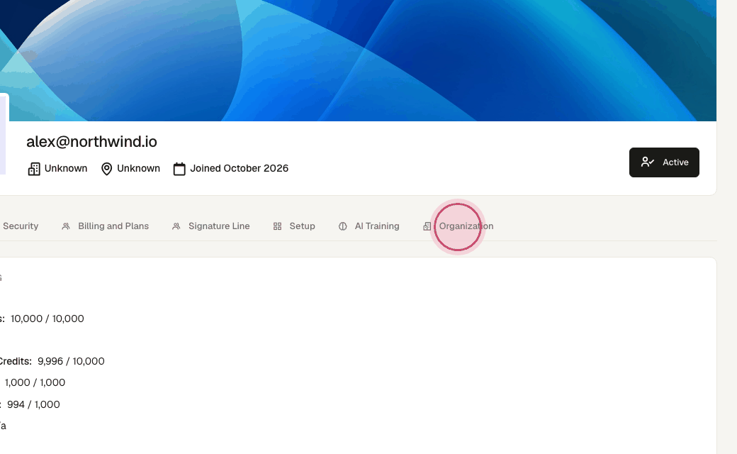 Step 2: Click the "Organization" tab.
